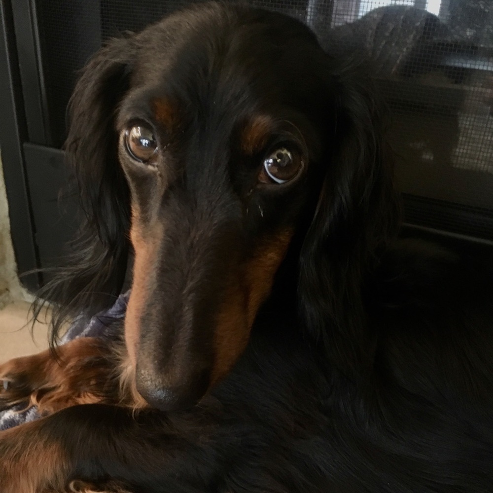 Meet your Posher, Brooke